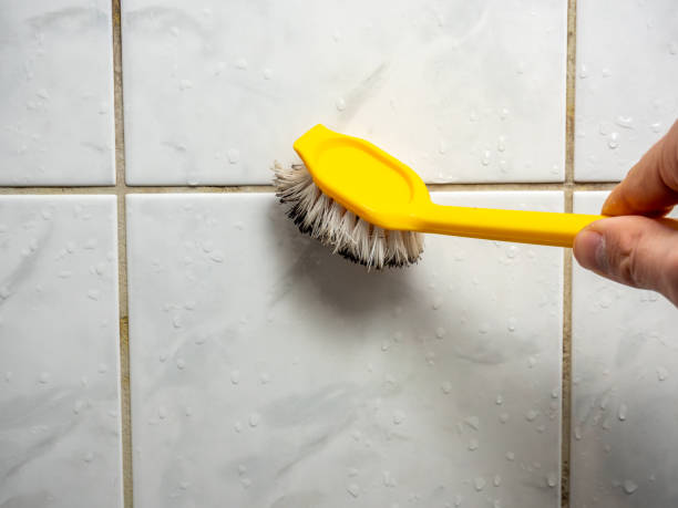 Water Damage Restoration in Albers, IL